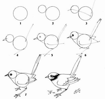 Tutos Dessins D Oiseaux Tape Par Tape Pour Apprendre Dessiner