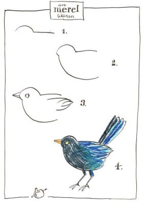 Tutos Dessins D Oiseaux Tape Par Tape Pour Apprendre Dessiner