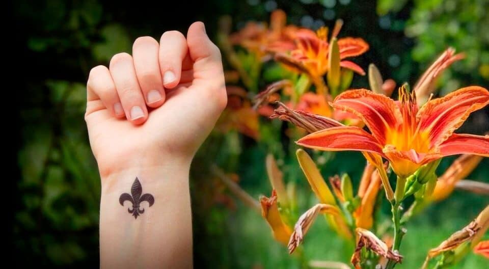 Fleur De Lys La Vraie Signification Spirituelle Ses 6