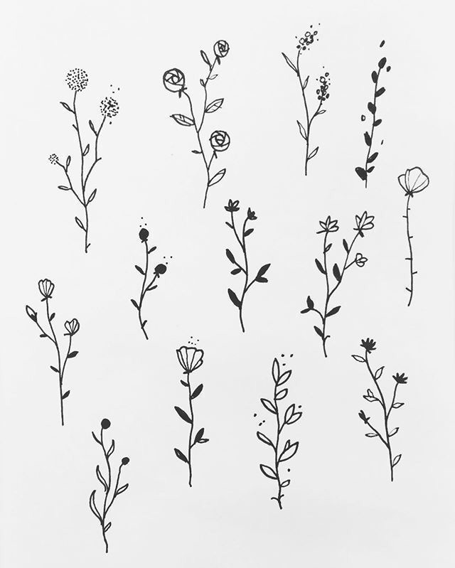 25 idées de dessin de fleurs pour s'inspirer 3