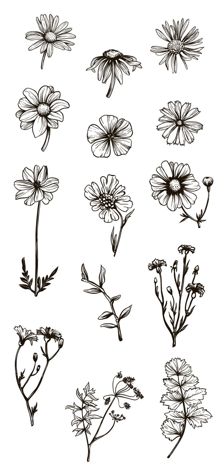 25 idées de dessin de fleurs pour s'inspirer 18