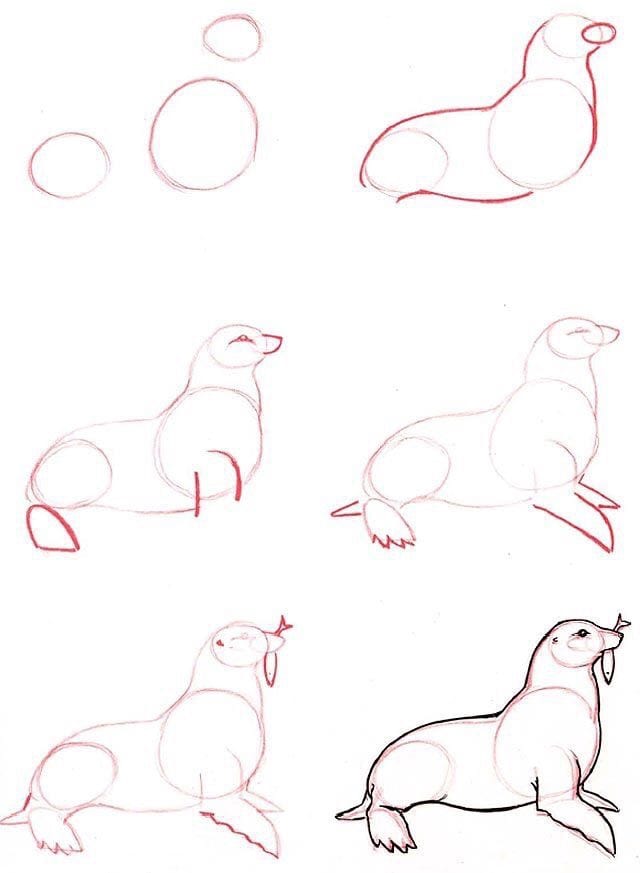 59 tutos pour apprendre à dessiner des animaux 3