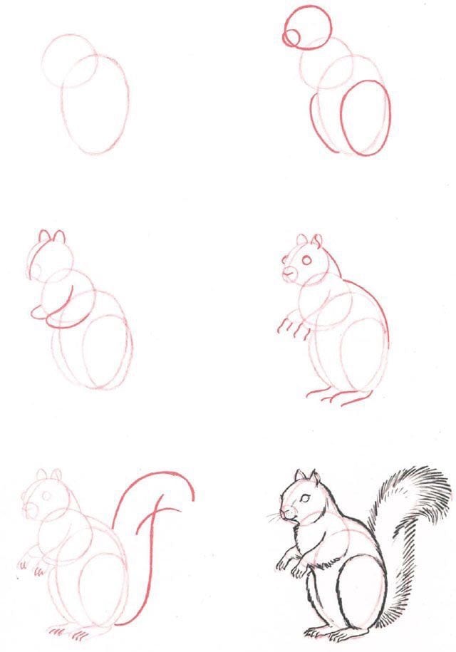 59 tutos pour apprendre à dessiner des animaux 29
