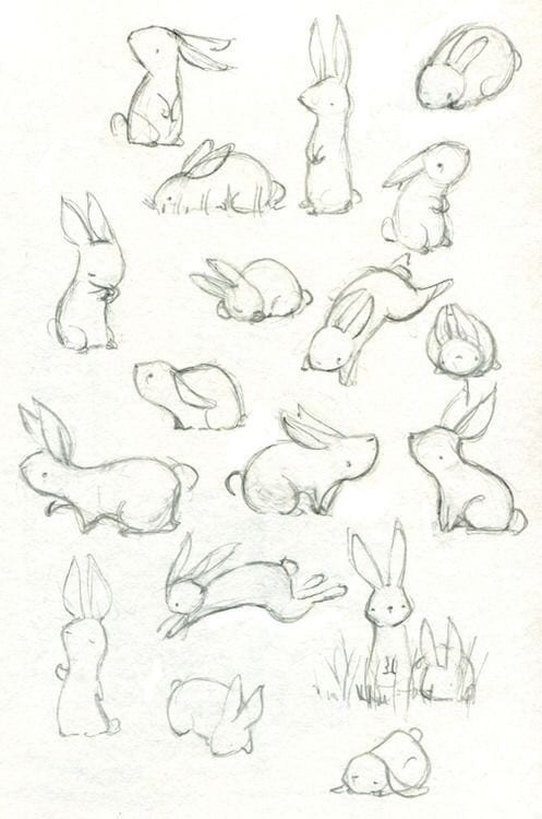 59 tutos pour apprendre à dessiner des animaux 40