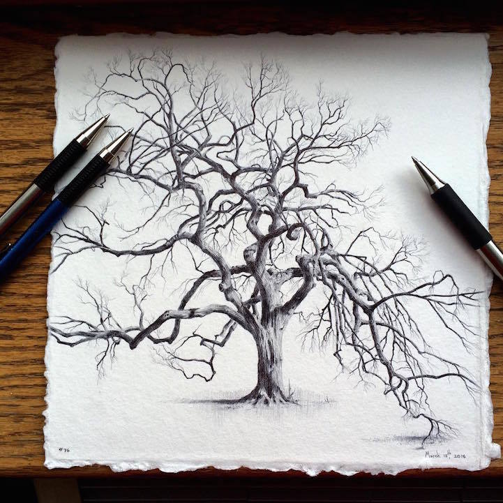 25 top idées de dessin & de peinture d'arbre 14