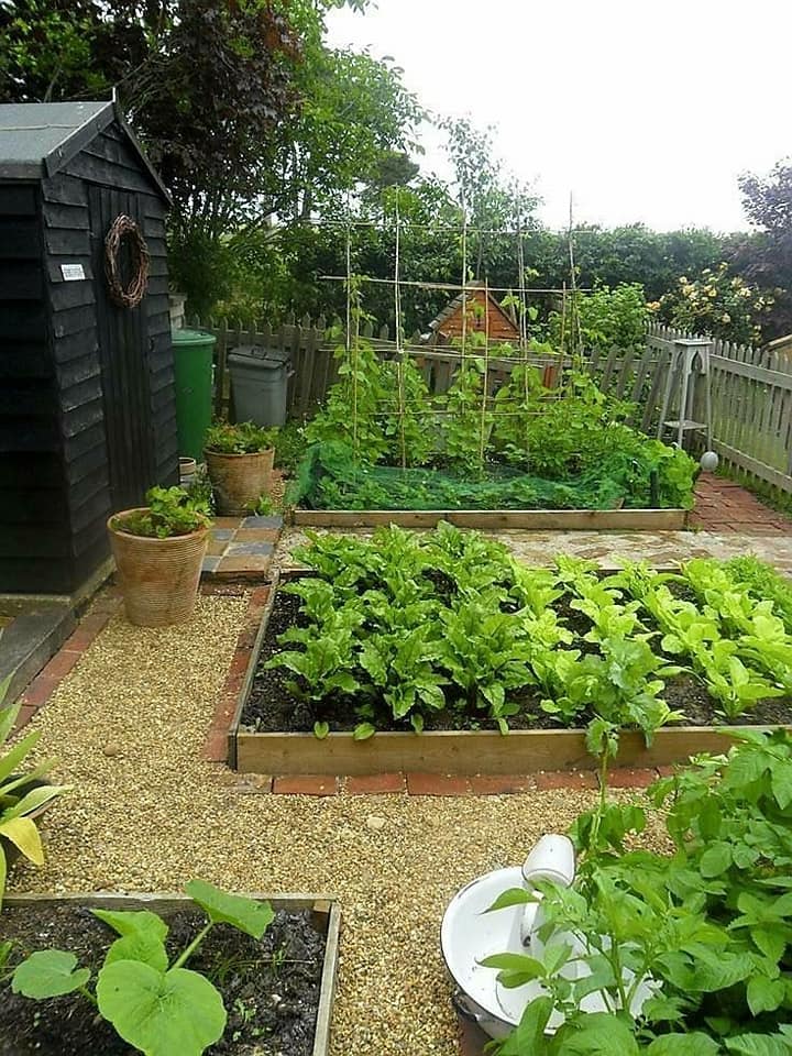 100 top idées pour faire un jardin potager 104