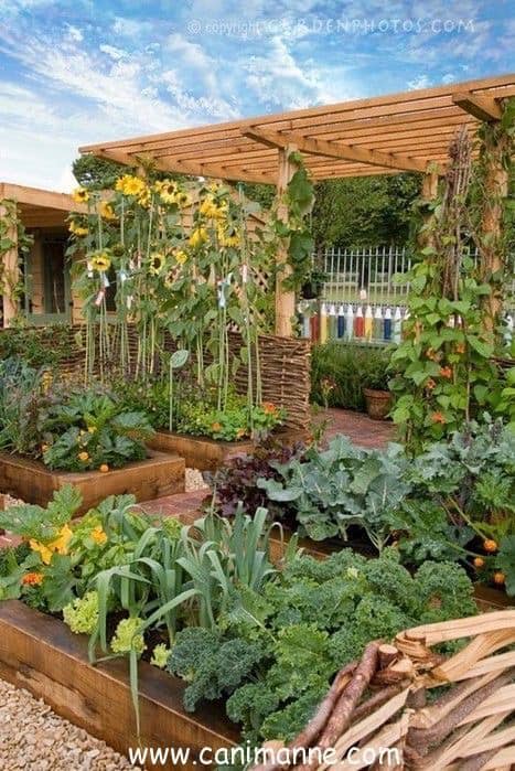 100 top idées pour faire un jardin potager 105