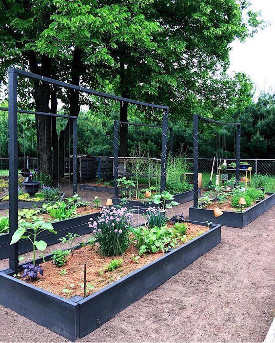100 top idées pour faire un jardin potager 32