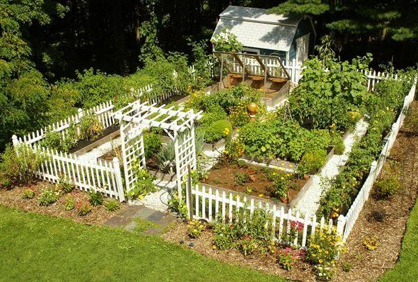 100 top idées pour faire un jardin potager 42