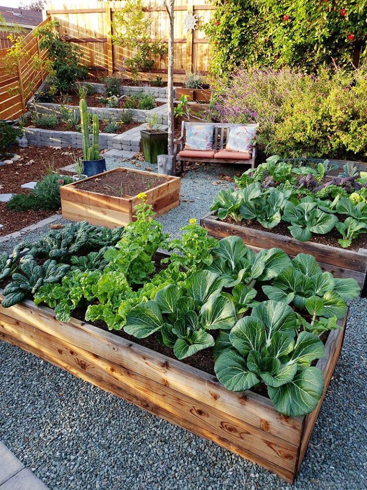 100 top idées pour faire un jardin potager 47