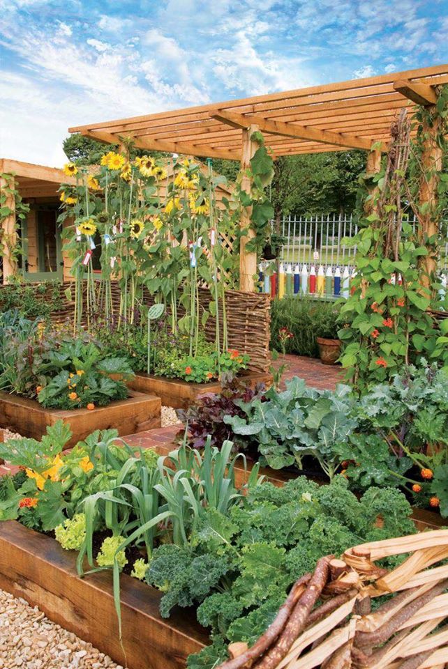 100 top idées pour faire un jardin potager 48