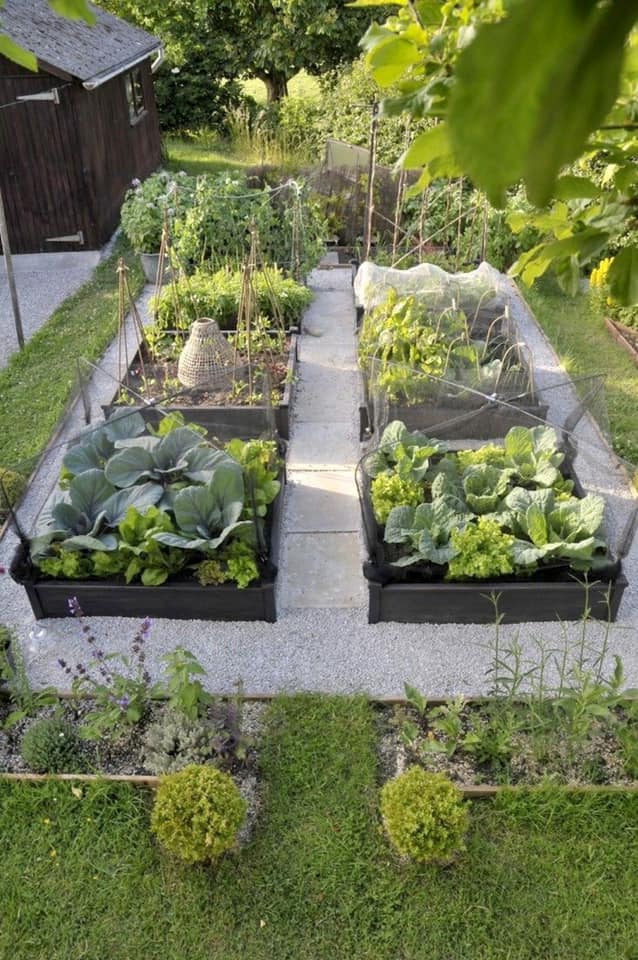 100 top idées pour faire un jardin potager 53