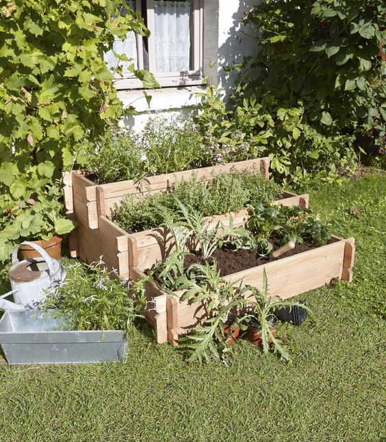 100 top idées pour faire un jardin potager 67