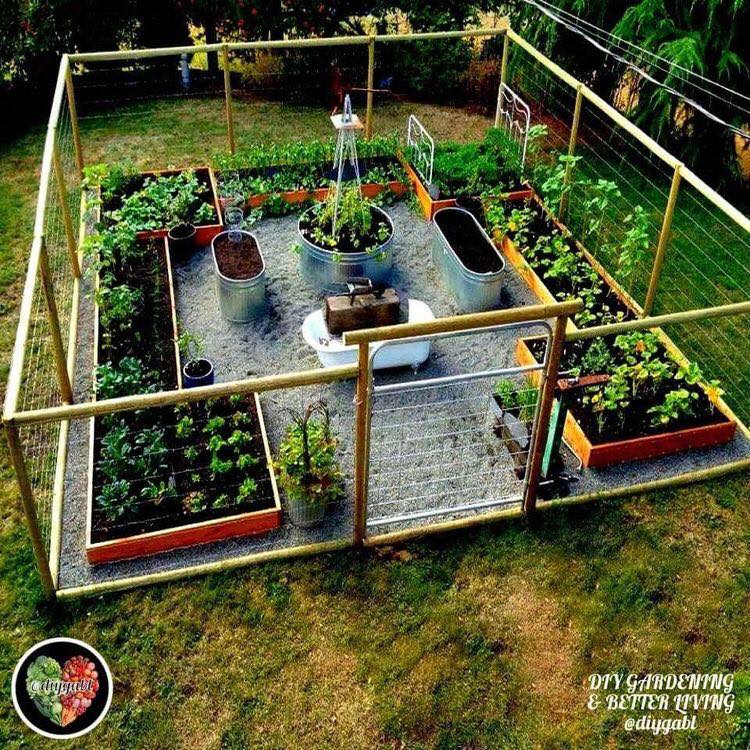 100 top idées pour faire un jardin potager 81