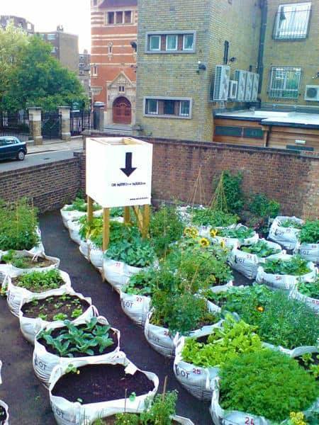 100 top idées pour faire un jardin potager 92