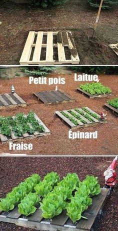 100 top idées pour faire un jardin potager 1