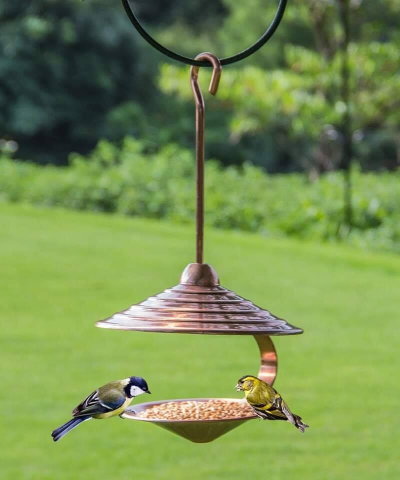 100 mangeoires a oiseaux faciles à faire soi-même pour faire des oiseaux des amis géants 4