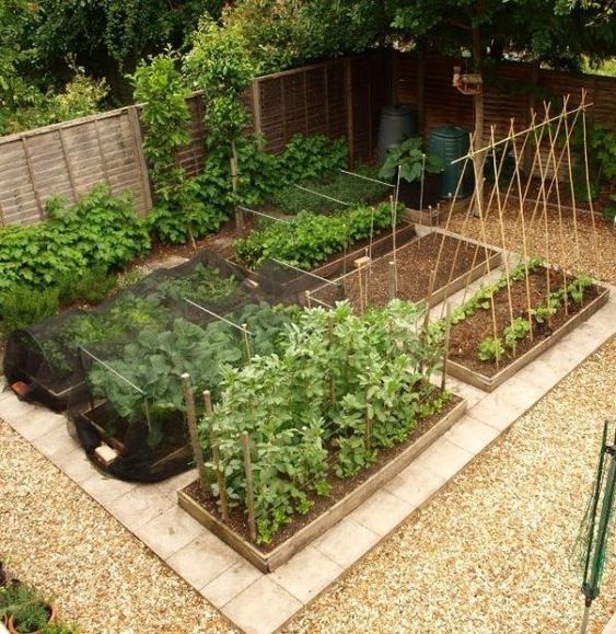 100 idées pour faire de son jardin un endroit magnifique 74