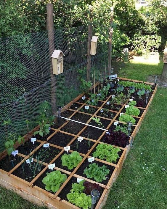100 idées pour faire de son jardin un endroit magnifique 98