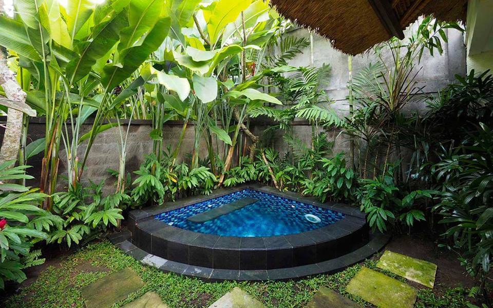 100 top idées de mini piscines pour petits jardins 1