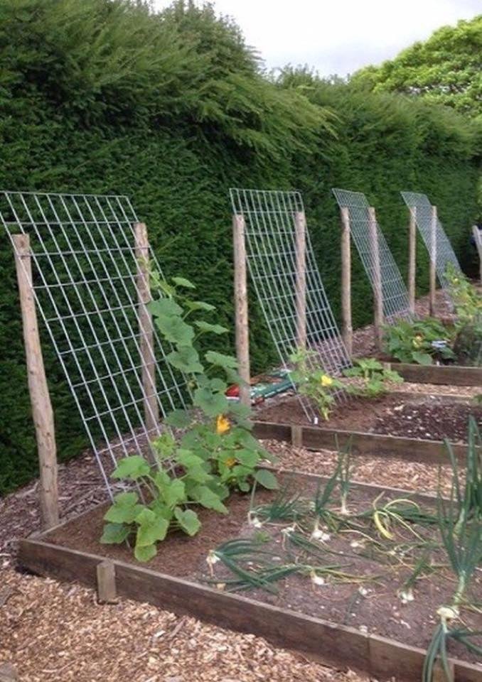 50 façons créatives de faire un jardin potager 4