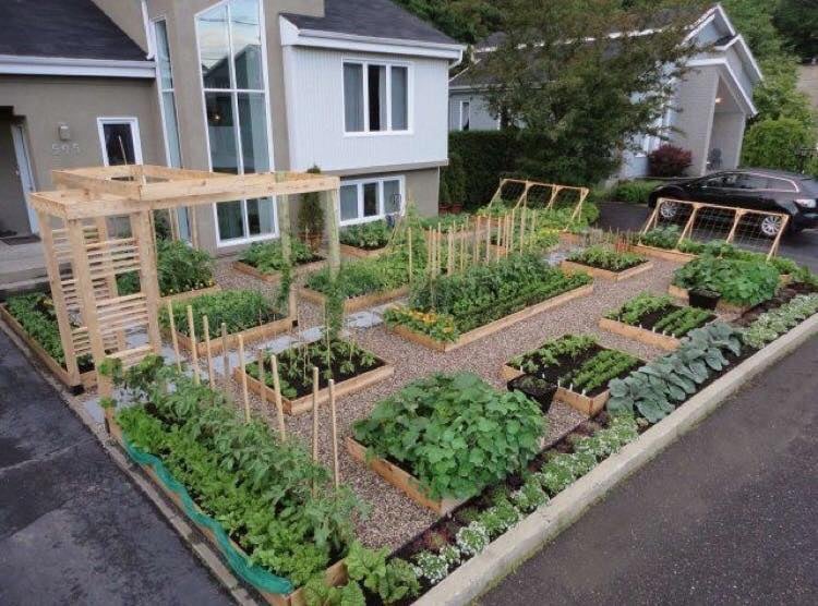 50 façons créatives de faire un jardin potager 43