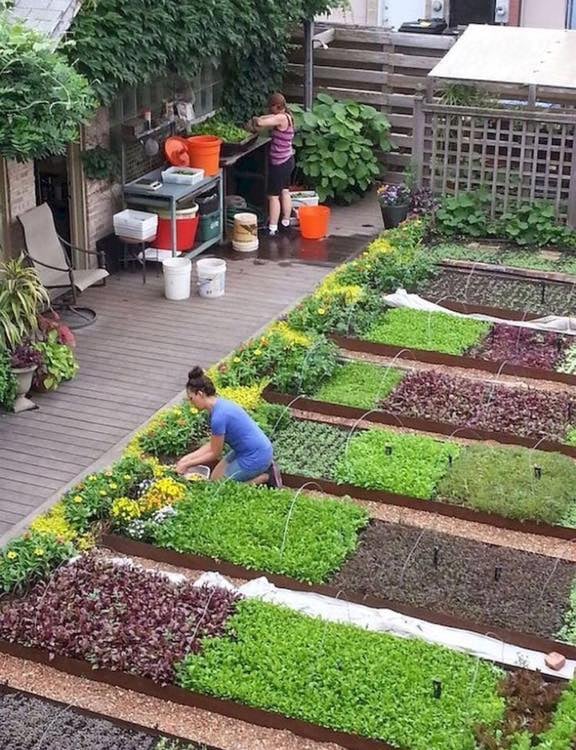 50 façons créatives de faire un jardin potager 51