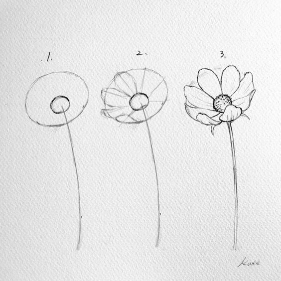 100 top idées & tutos de dessins de fleurs : pour apprendre à dessiner des fleurs 1