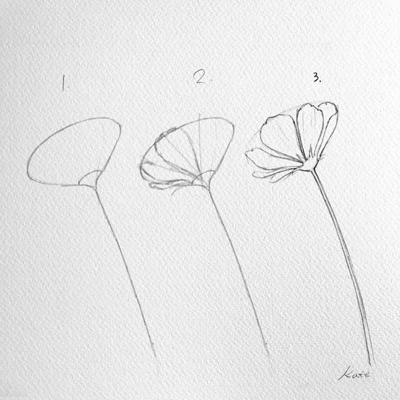 100 top idées & tutos de dessins de fleurs : pour apprendre à dessiner des fleurs 3
