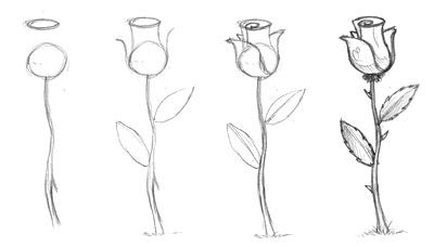100 top idées & tutos de dessins de fleurs : pour apprendre à dessiner des fleurs 4