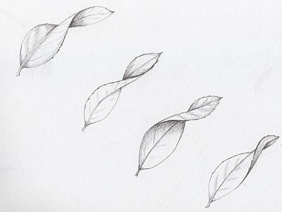 100 top idées & tutos de dessins de fleurs : pour apprendre à dessiner des fleurs 5