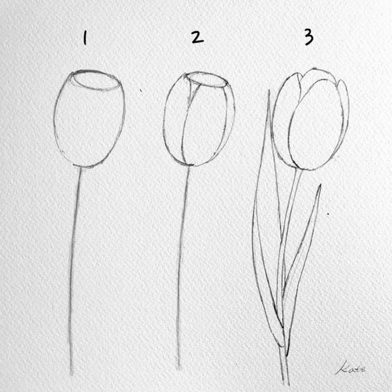 100 top idées & tutos de dessins de fleurs : pour apprendre à dessiner des fleurs 8