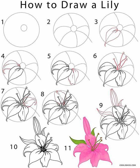 100 top idées & tutos de dessins de fleurs : pour apprendre à dessiner des fleurs 10