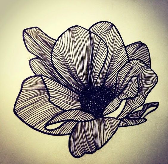 100 top idées & tutos de dessins de fleurs : pour apprendre à dessiner des fleurs 11