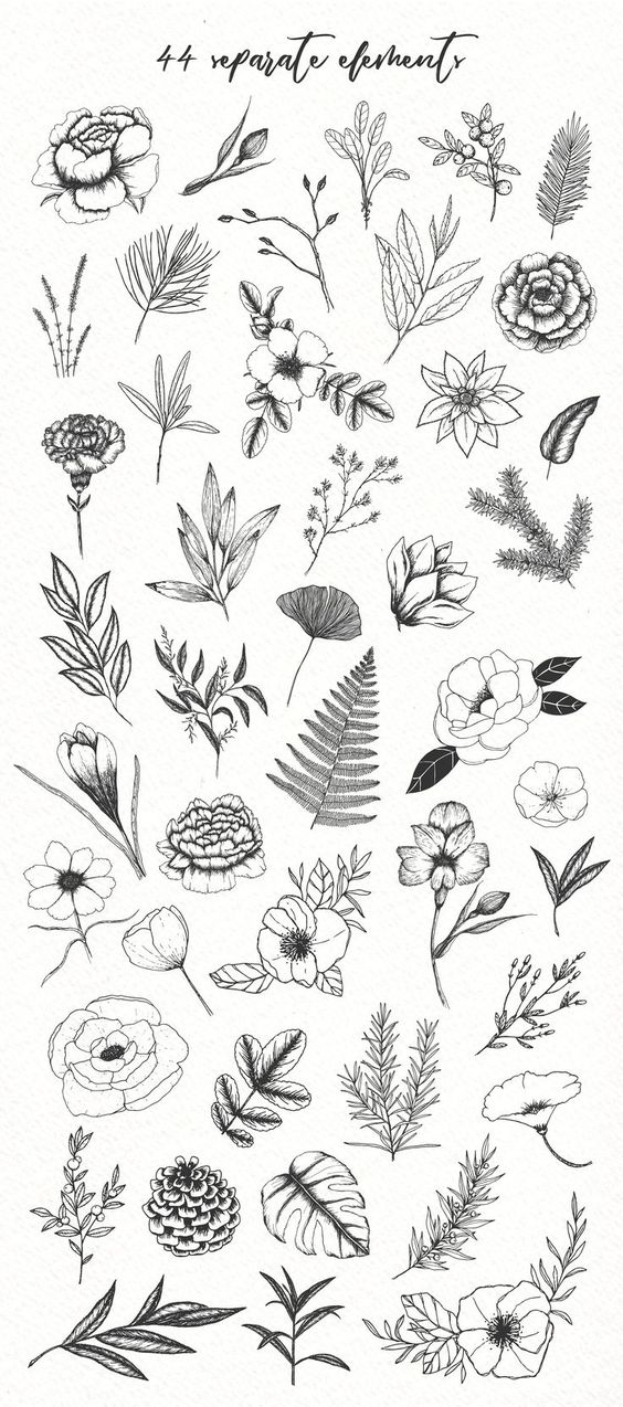 100 top idées & tutos de dessins de fleurs : pour apprendre à dessiner des fleurs 14