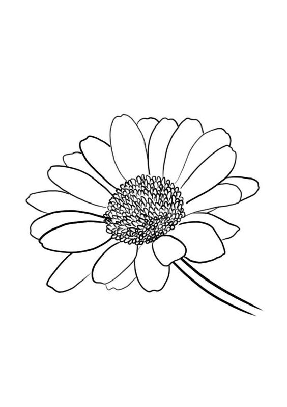 100 top idées & tutos de dessins de fleurs : pour apprendre à dessiner des fleurs 15
