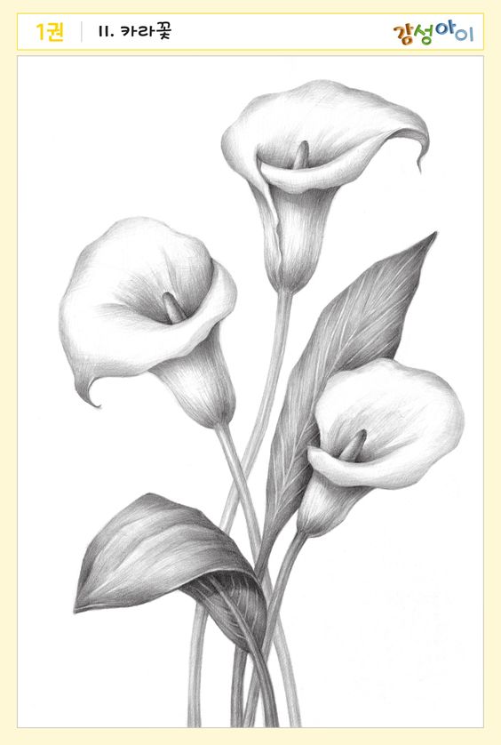100 top idées & tutos de dessins de fleurs : pour apprendre à dessiner des fleurs 18