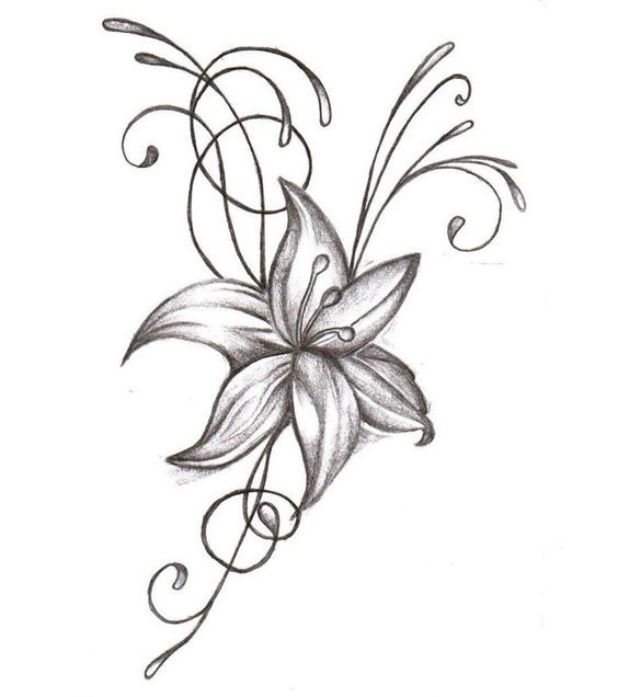 100 top idées & tutos de dessins de fleurs : pour apprendre à dessiner des fleurs 19
