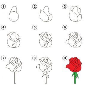 100 top idées & tutos de dessins de fleurs : pour apprendre à dessiner des fleurs 24