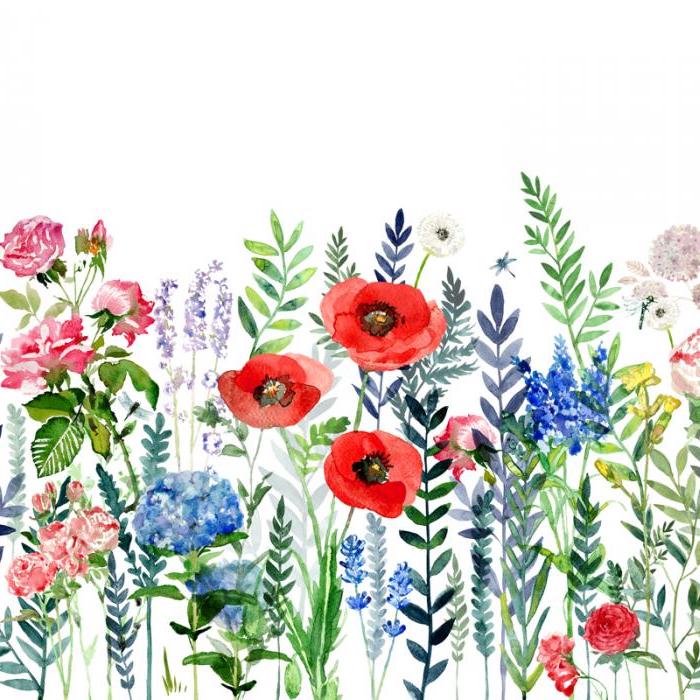 100 top idées & tutos de dessins de fleurs : pour apprendre à dessiner des fleurs 27