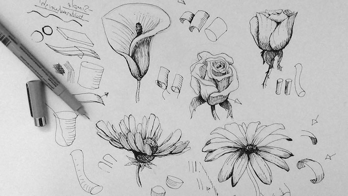 100 top idées & tutos de dessins de fleurs : pour apprendre à dessiner des fleurs 43