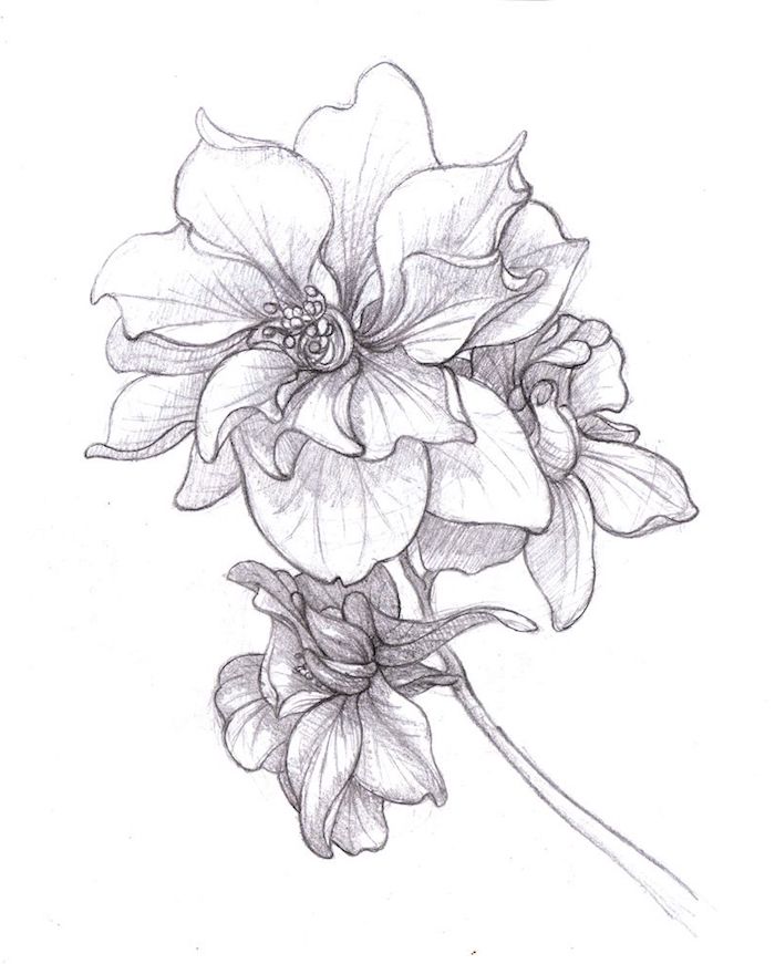 100 top idées & tutos de dessins de fleurs : pour apprendre à dessiner des fleurs 60