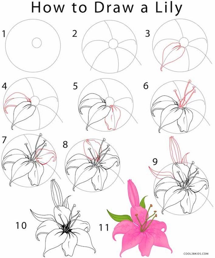 100 top idées & tutos de dessins de fleurs : pour apprendre à dessiner des fleurs 64