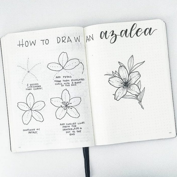 100 top idées & tutos de dessins de fleurs : pour apprendre à dessiner des fleurs 67