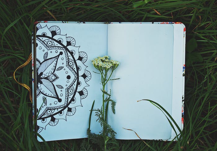 100 top idées & tutos de dessins de fleurs : pour apprendre à dessiner des fleurs 75