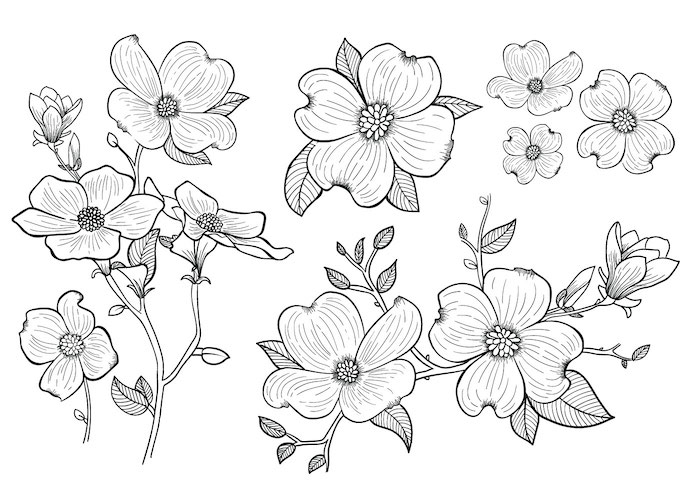 100 top idées & tutos de dessins de fleurs : pour apprendre à dessiner des fleurs 80