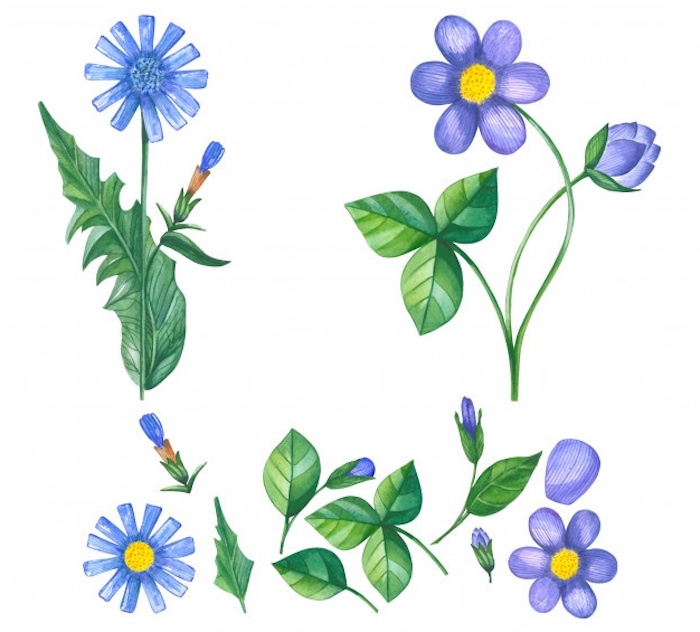 100 top idées & tutos de dessins de fleurs : pour apprendre à dessiner des fleurs 82