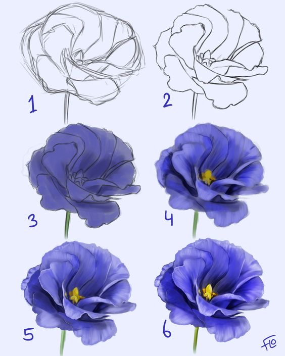 100 top idées & tutos de dessins de fleurs : pour apprendre à dessiner des fleurs 96