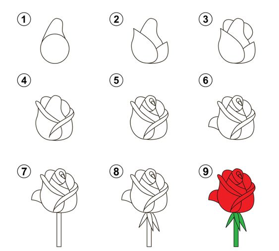 100 top idées & tutos de dessins de fleurs : pour apprendre à dessiner des fleurs 111