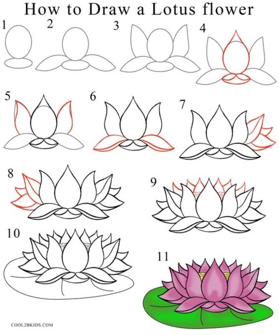 100 top idées & tutos de dessins de fleurs : pour apprendre à dessiner des fleurs 113